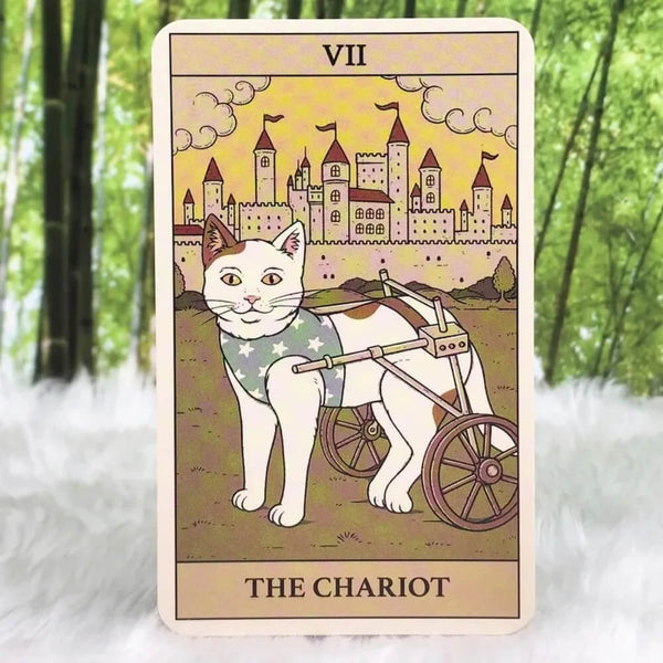 Load image into Gallery viewer, Cats Rule the Earth Tarot
