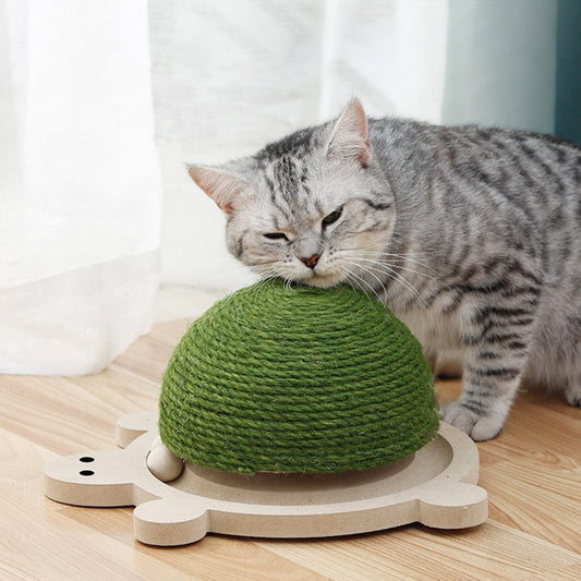 Pet Scratcher Turtle