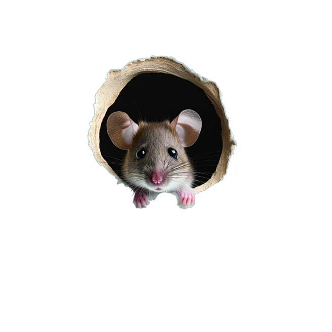 Mouse Hole Sticker