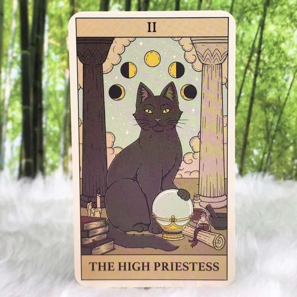 Cats Rule the Earth Tarot