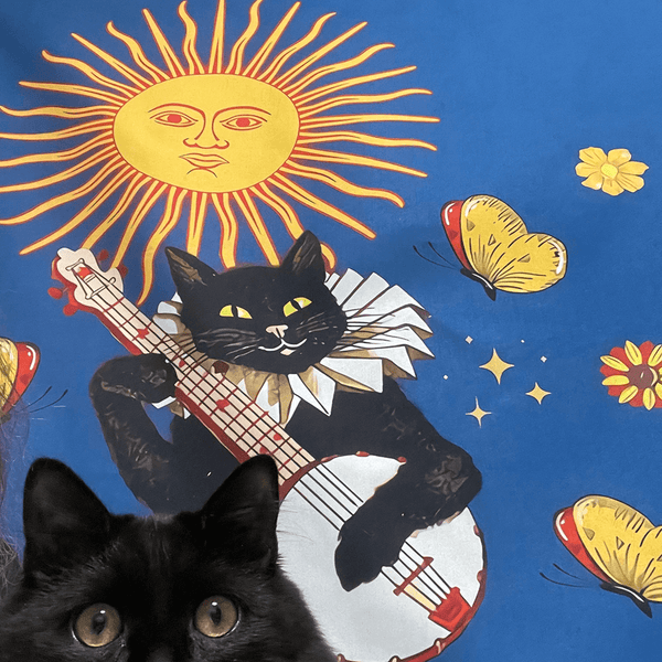 Load image into Gallery viewer, Cat, Sun and Music Tapestry
