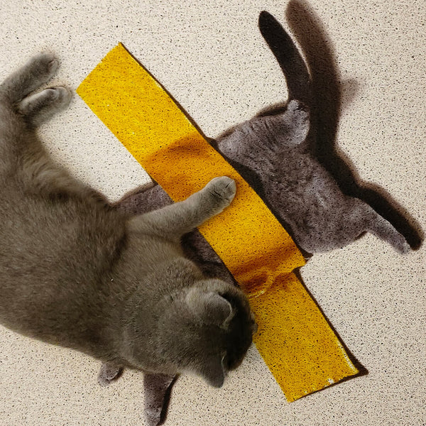 Load image into Gallery viewer, Sticky Tape Cat Rug
