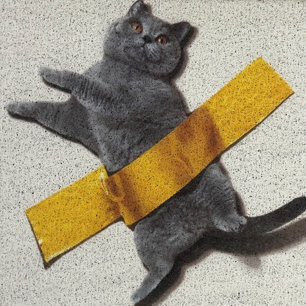 Load image into Gallery viewer, Sticky Tape Cat Rug
