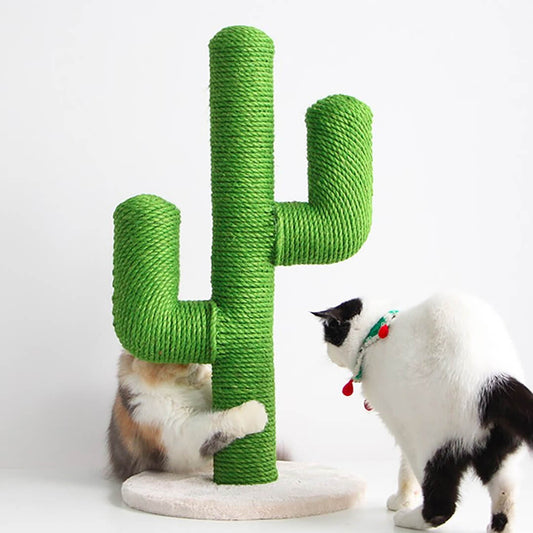 Cactus Climbing Tree