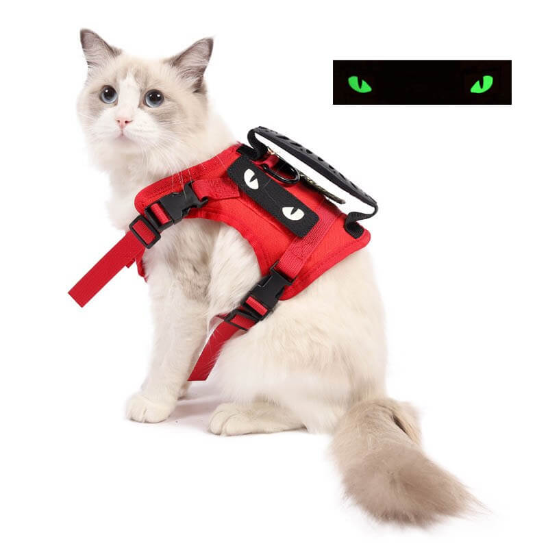 WARNING Harness