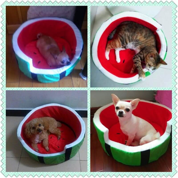 Load image into Gallery viewer, Cute Watermelon Pet Bed
