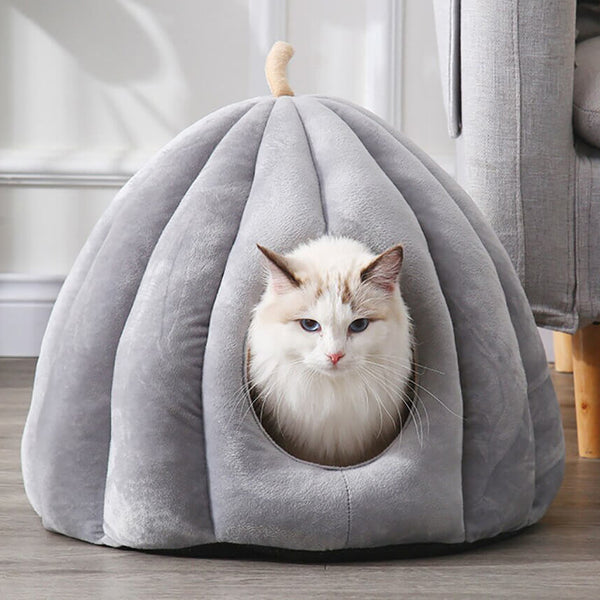 Load image into Gallery viewer, Pumpkin Pet Bed
