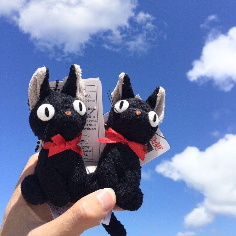 Black Cat Plush Toy