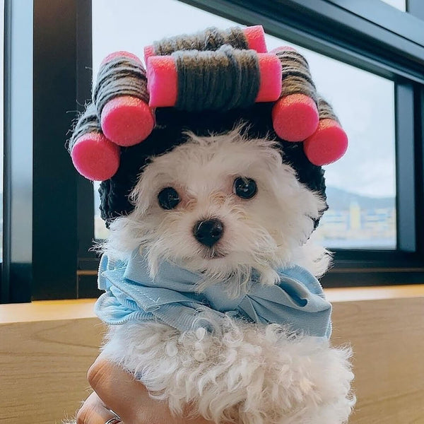 Load image into Gallery viewer, Hair Roller Pet Hat
