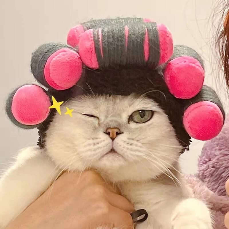 Hair Roller Pet Hat