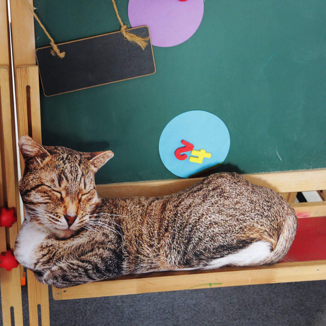 Realistic Cat Cushion