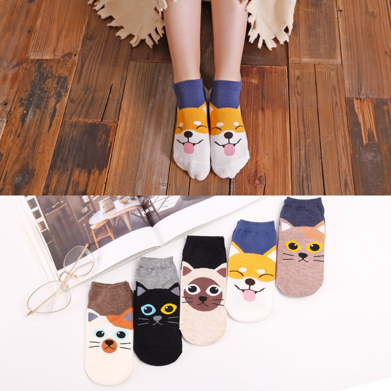 Cute Pet Face Socks