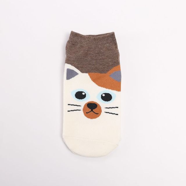 Cute Pet Face Socks