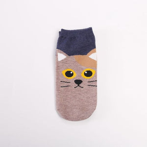 Cute Pet Face Socks