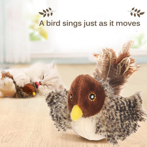 Singing Chaser Bird