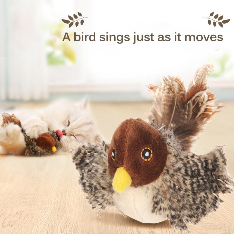 Singing Chaser Bird