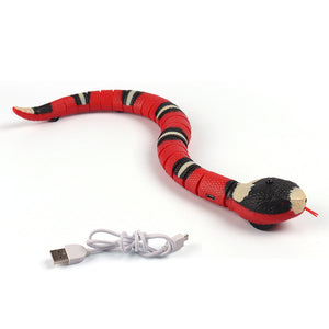 Naughty Snake Pet Toy