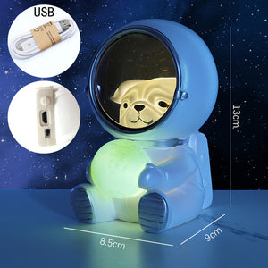 Petronaut USB Lamp